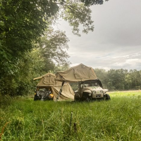 Baja bugs day out in the woods